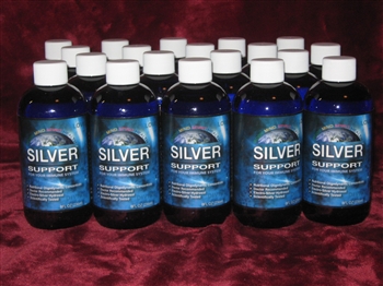 Silver Support 12 Pack